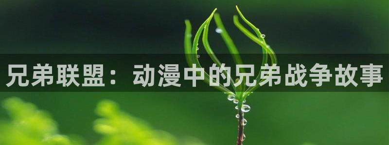 动漫天堂app：兄弟联盟：动漫中的兄弟战争故事