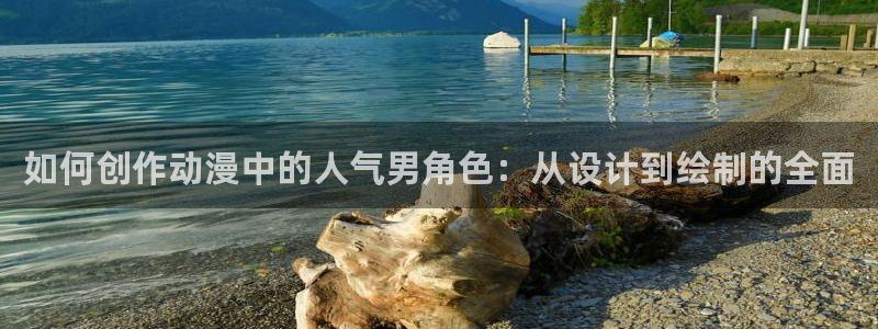 动漫天堂官方正版下载：如何创作动漫中的人气男角色：从设计到绘制的全面