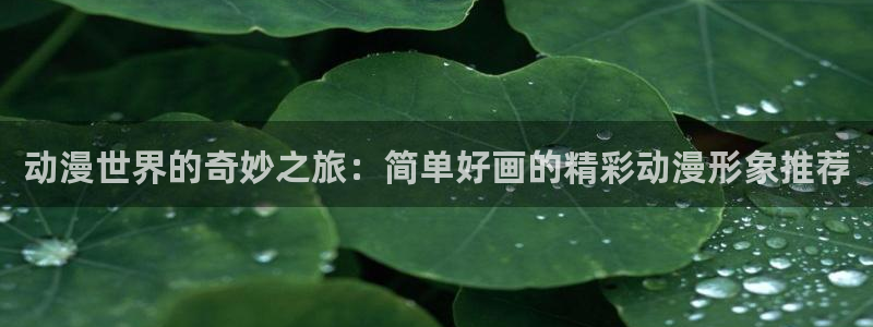 漫天堂动漫：动漫世界的奇妙之旅：简单好画的精彩动漫形象推荐
